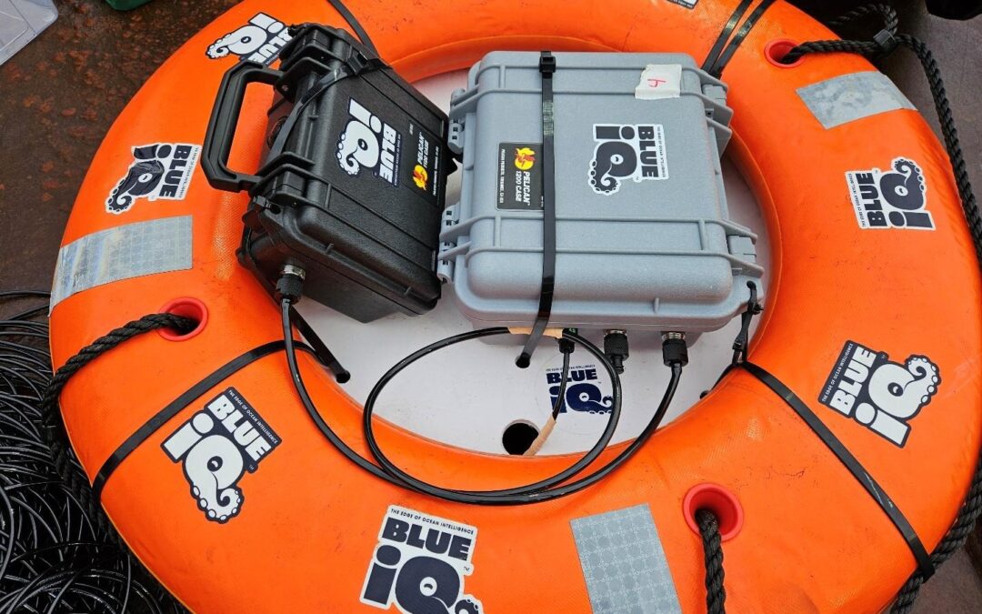 BLUEiQ Moves from Testing to Deployment in NOAA Partnership