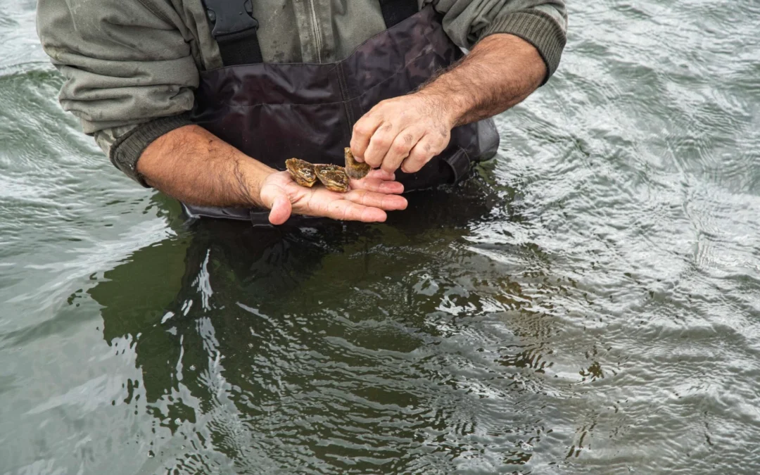 URI Joins $15 Million NSF Seafood Engine Initiative